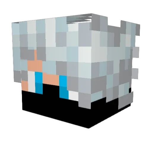 lucasssfds13 Minecraft avatar head, 3D render