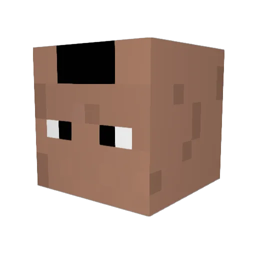 lucasswinny Minecraft avatar head, 3D render