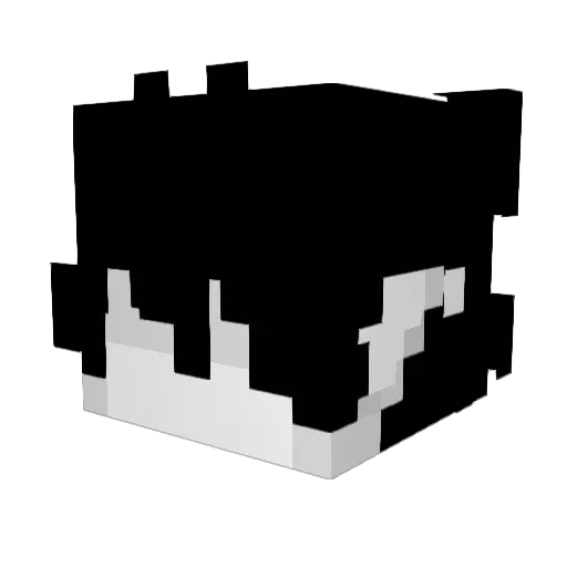 lucasxpz Minecraft avatar head, 3D render