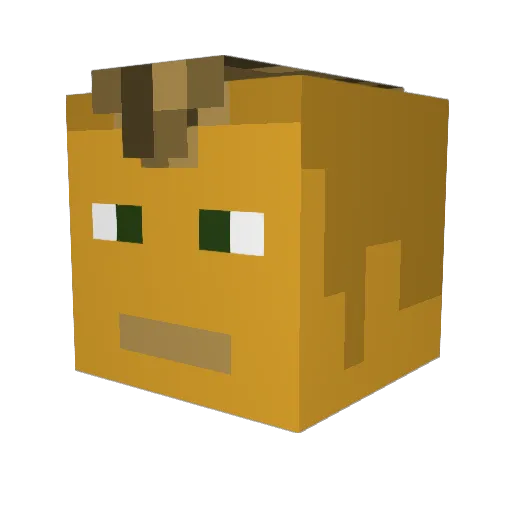 lucaszanquetta Minecraft avatar head, 3D render