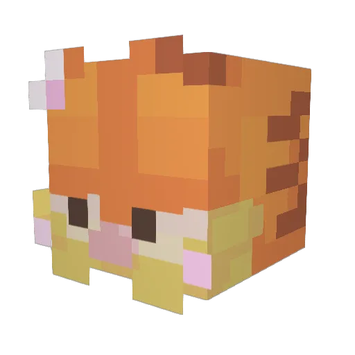 luccasej246 Minecraft avatar head, 3D render