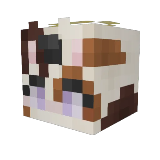 luce_0w0 Minecraft avatar head, 3D render