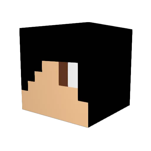 lucfisch2005 Minecraft avatar head, 3D render