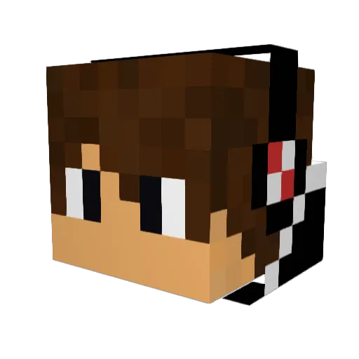 luchsfcb Minecraft avatar head, 3D render
