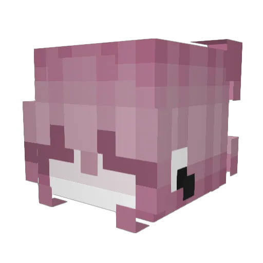 luchtSiuilMuln Minecraft avatar head, 3D render