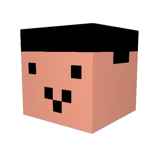 lucia112 Minecraft avatar head, 3D render