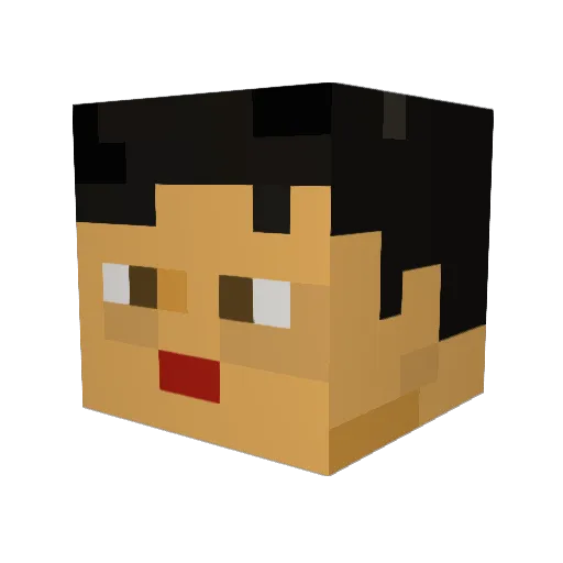 lucianozp Minecraft avatar head, 3D render