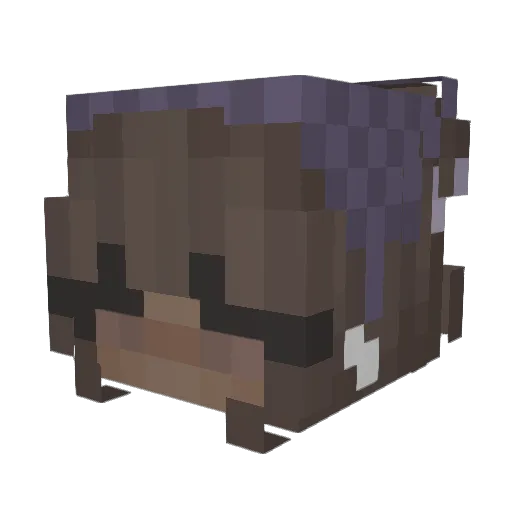 lucizzz Minecraft avatar head, 3D render