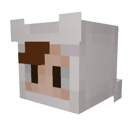 luckinhas Minecraft avatar head, 3D render