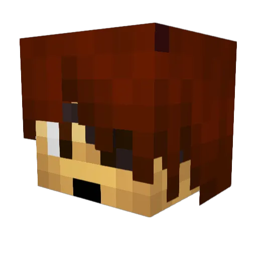 luckjes112 Minecraft avatar head, 3D render