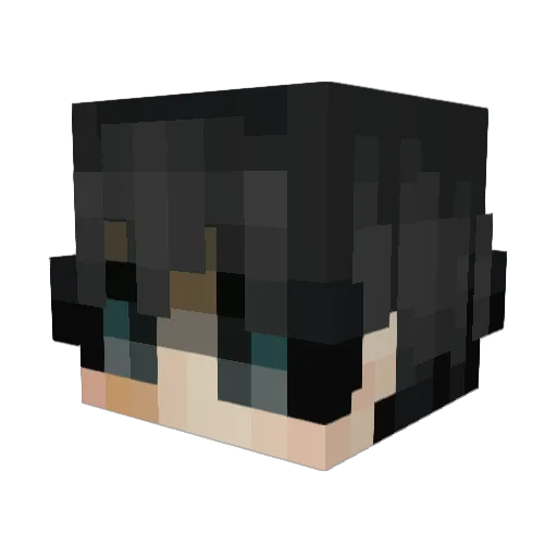 lucks1111 Minecraft avatar head, 3D render