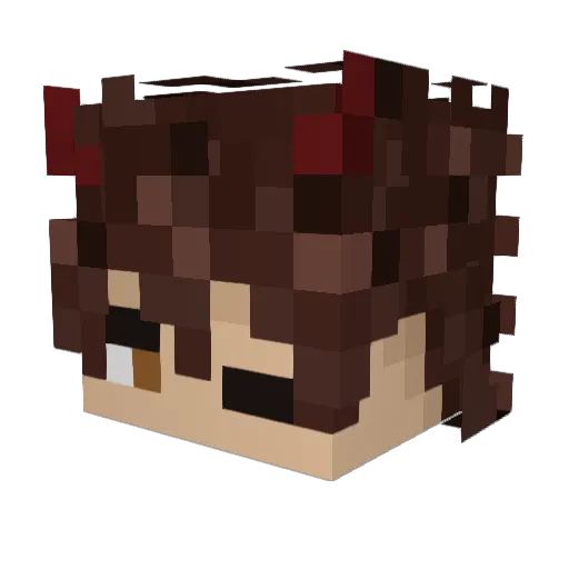 lucksducks Minecraft avatar head, 3D render