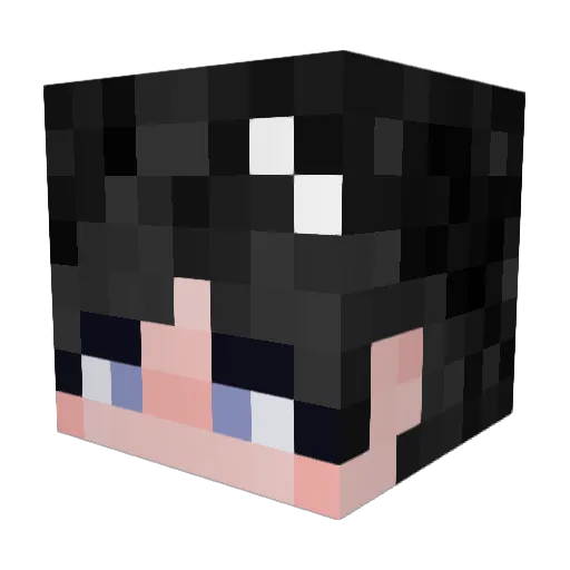 lucky_em Minecraft avatar head, 3D render