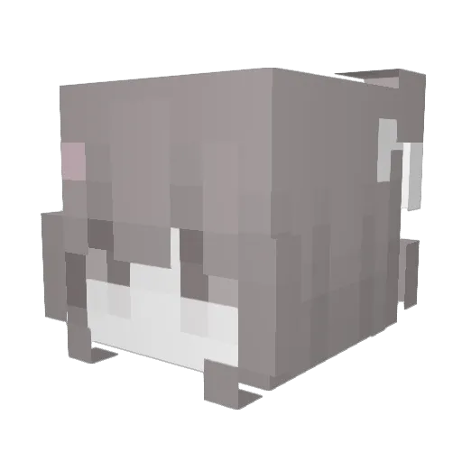 lucky_lemon__ Minecraft avatar head, 3D render