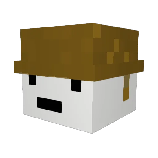 luckycoffee Minecraft avatar head, 3D render