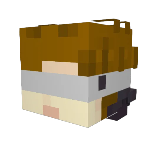 luckydog32 Minecraft avatar head, 3D render