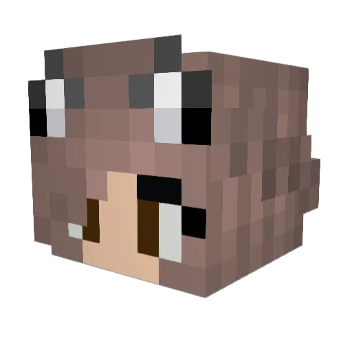 luckyduck1000 Minecraft avatar head, 3D render
