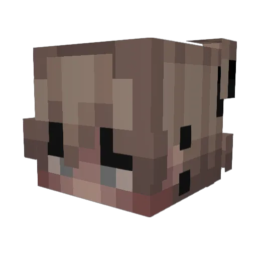 luckyisdumb Minecraft avatar head, 3D render