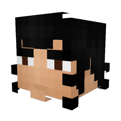 lucon1 Minecraft avatar head, 3D render