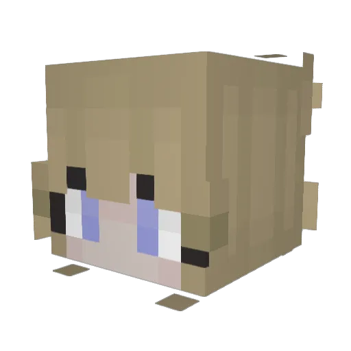 lucundity Minecraft avatar head, 3D render