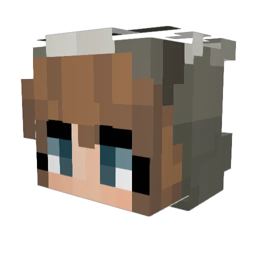 lucy11567 Minecraft avatar head, 3D render