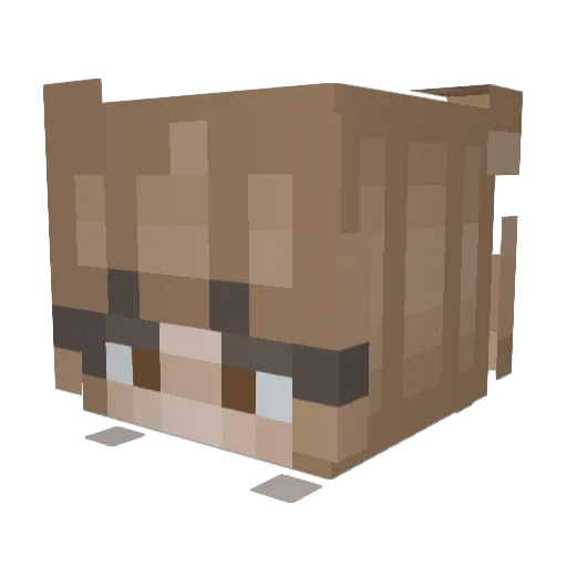 lucy786 Minecraft avatar head, 3D render