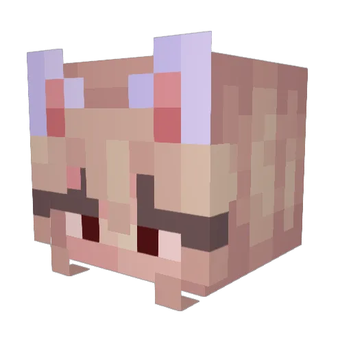 lucygee Minecraft avatar head, 3D render
