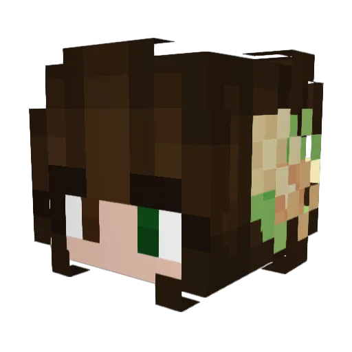 lucygoosey_73 Minecraft avatar head, 3D render