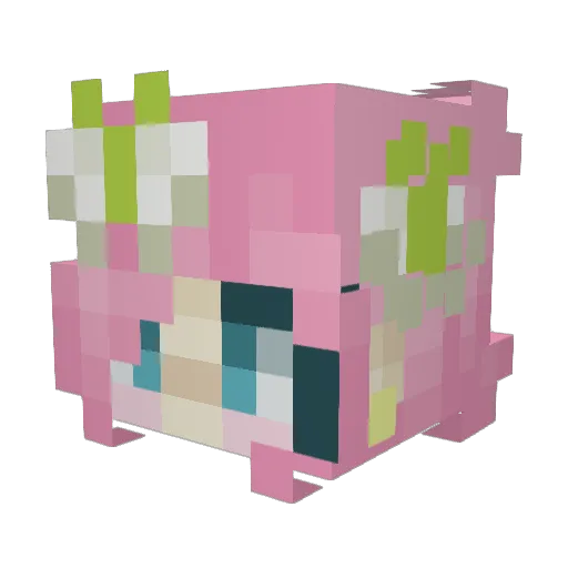 lucyisaloser Minecraft avatar head, 3D render