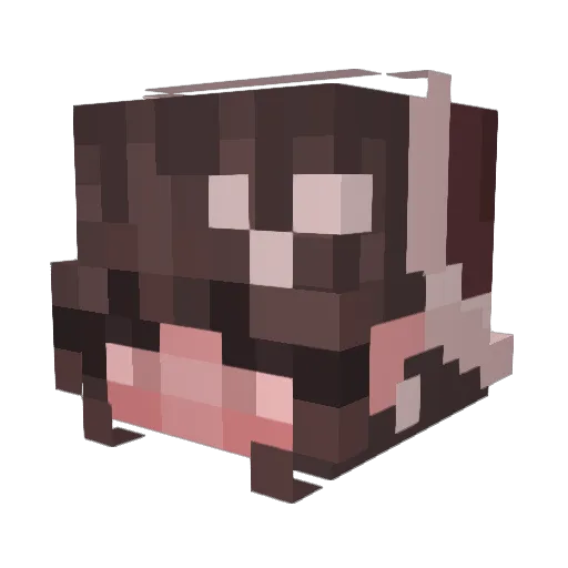 lucyjeavo Minecraft avatar head, 3D render