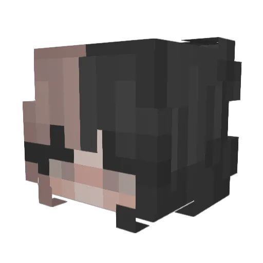 lucyluvs420 Minecraft avatar head, 3D render