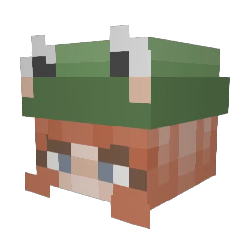 lucysimp Minecraft avatar head, 3D render
