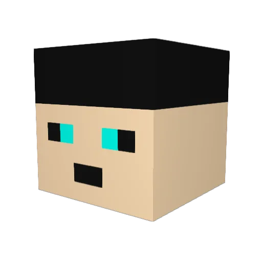 ludarocket Minecraft avatar head, 3D render