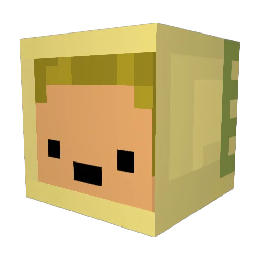 ludicolooo Minecraft avatar head, 3D render