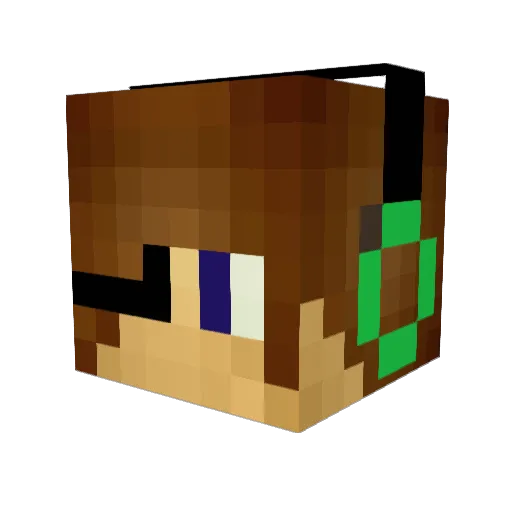 ludocraft1 Minecraft avatar head, 3D render