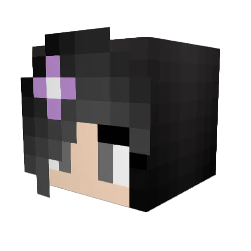 luffyboy84 Minecraft avatar head, 3D render