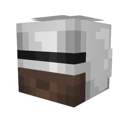 luggi9200 Minecraft avatar head, 3D render