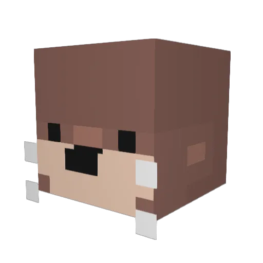 luibre Minecraft avatar head, 3D render