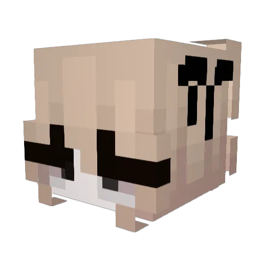 luiishirosagii Minecraft avatar head, 3D render