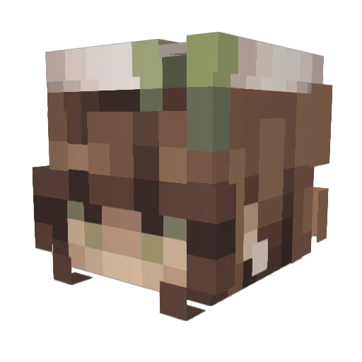 luikert Minecraft avatar head, 3D render