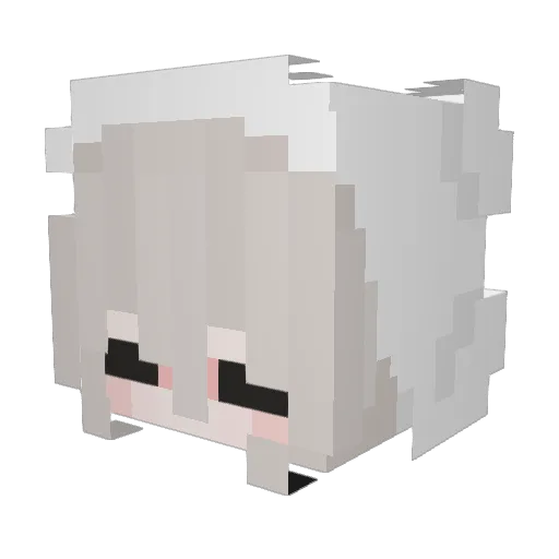luiquidDuck Minecraft avatar head, 3D render