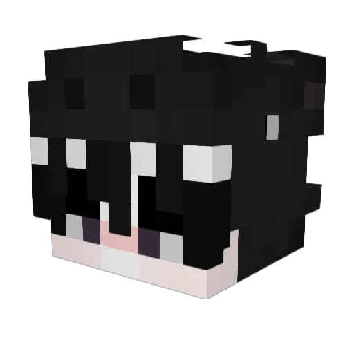 luis_wa Minecraft avatar head, 3D render