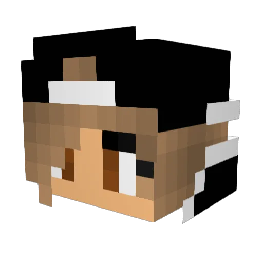 luisa_trx Minecraft avatar head, 3D render