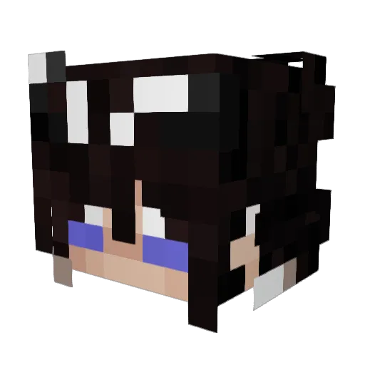 luisaurusrex Minecraft avatar head, 3D render