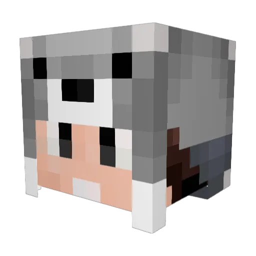 luissskun Minecraft avatar head, 3D render