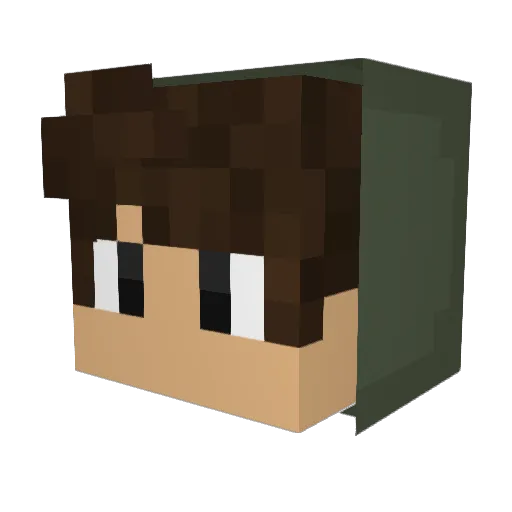 luizdevbrasil Minecraft avatar head, 3D render