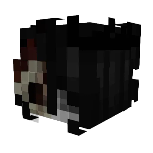 luizpaoaop Minecraft avatar head, 3D render