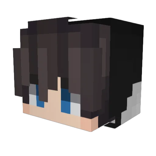 lukapro13 Minecraft avatar head, 3D render