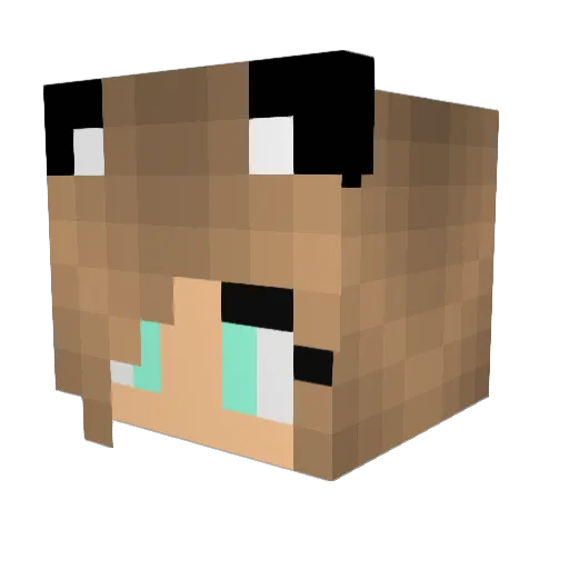 lukas266 Minecraft avatar head, 3D render