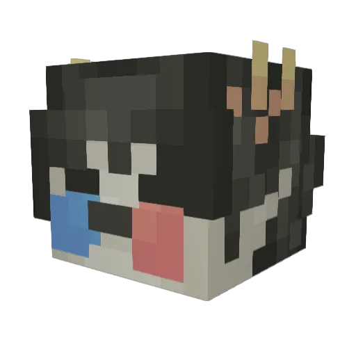lukast_hg Minecraft avatar head, 3D render